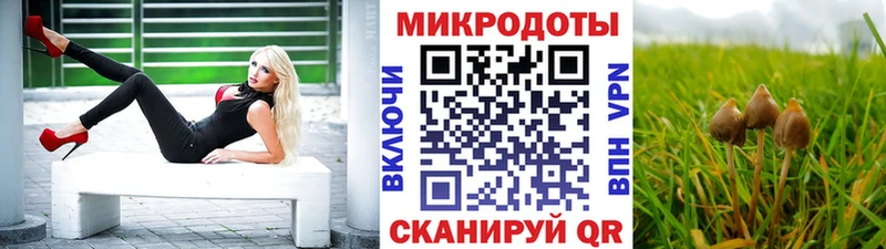 Псилоцибиновые грибы ЛСД  Мостовской 